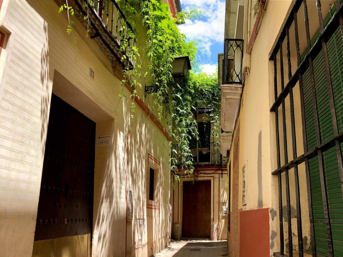 Acogedor Apt 8Pax 4Bdr 2Bth- Cozyhomesevilla2 Dış mekan fotoğraf